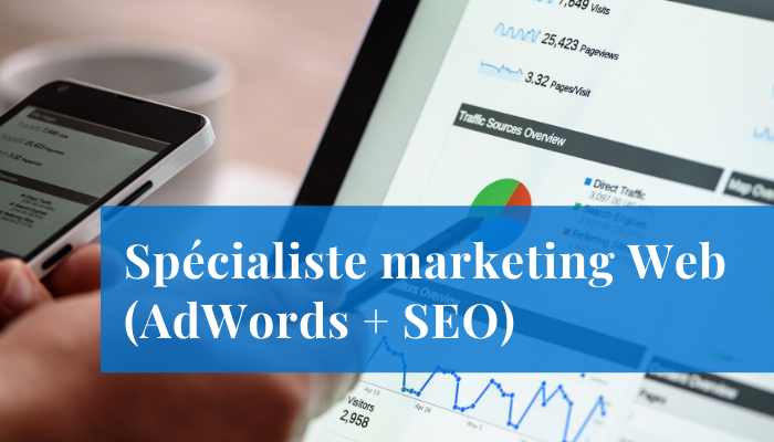 eb marketing adwords emploi mecart