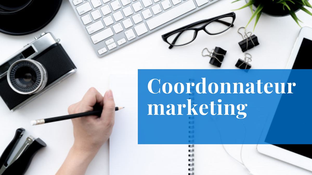 coordonnateur marketing emploi mecart